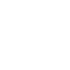 Redbridge Logo White